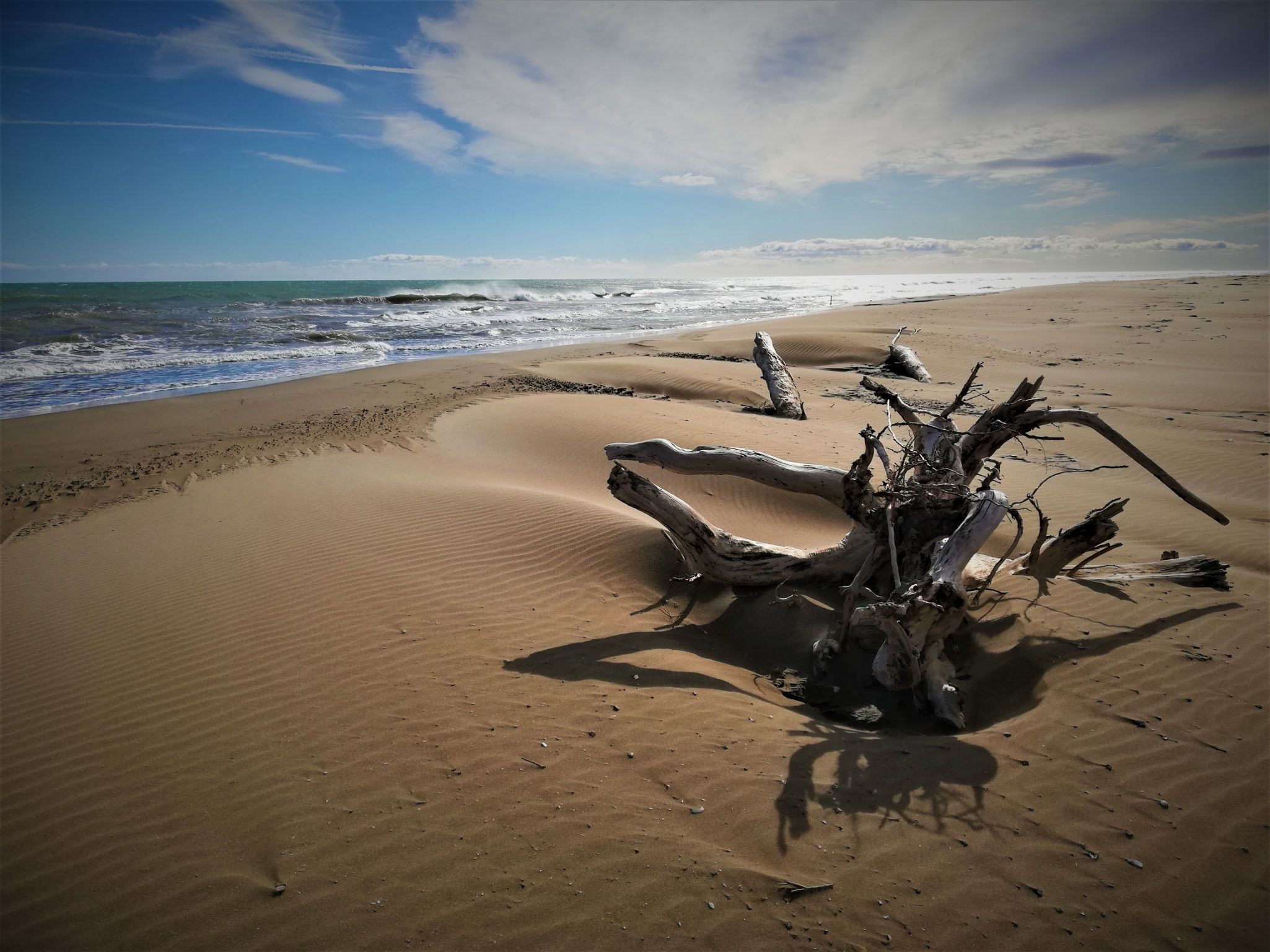Naturaleza Muerta  AGUA